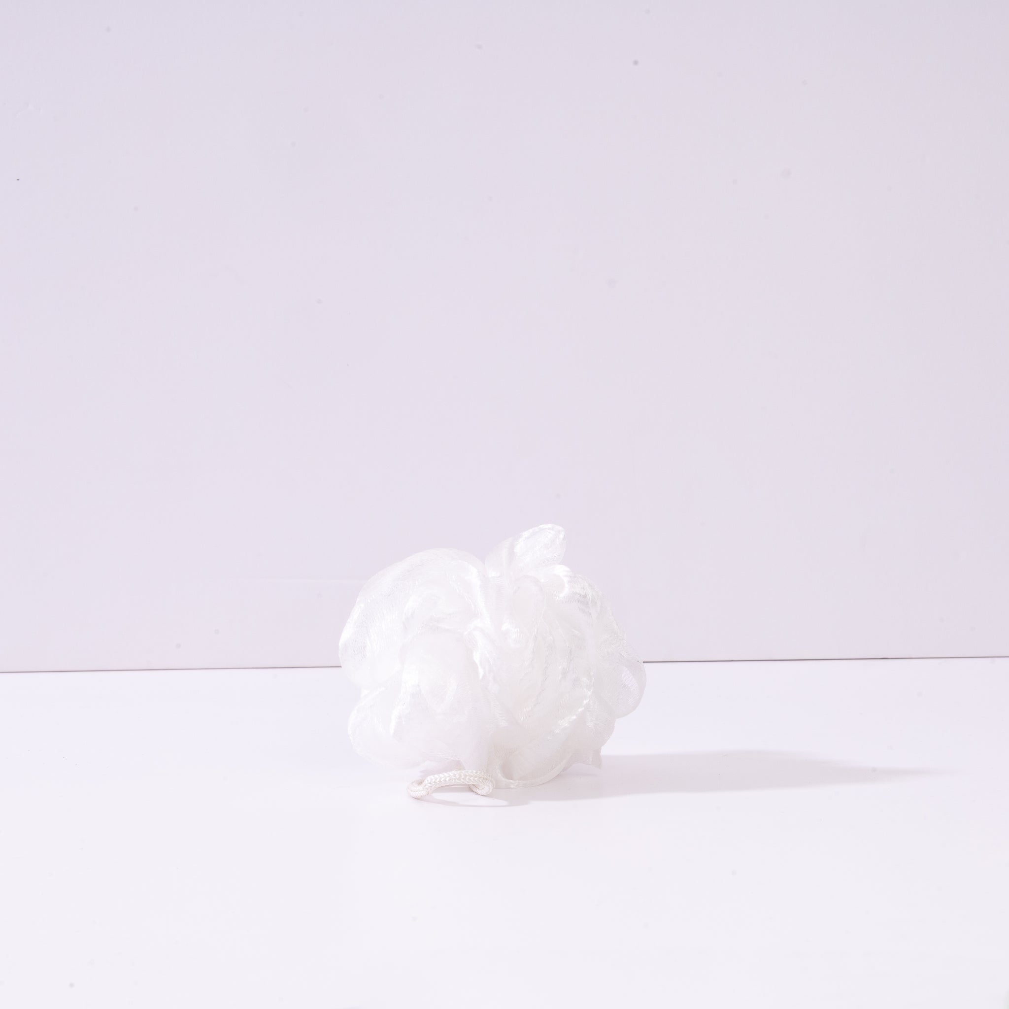 White Sponge
