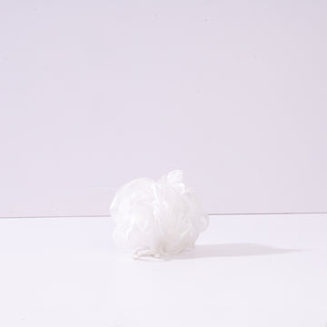 White Sponge